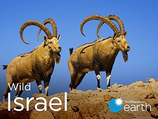 LugaTv | Watch Wild Israel seasons 1 - 1 for free online