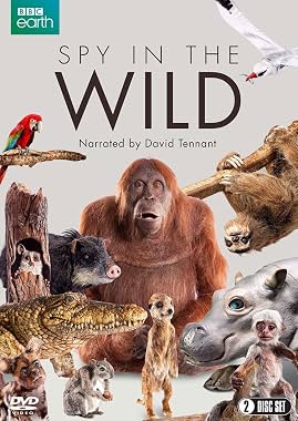 LugaTv | Watch Spy in the Wild seasons 1 - 2 for free online
