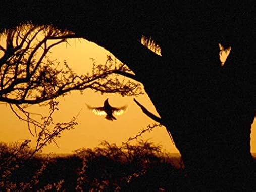 LugaTv | Watch Africas Wild Havens seasons 1 - 1 for free online