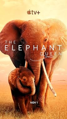 LugaTv | Watch The Elephant Queen for free online