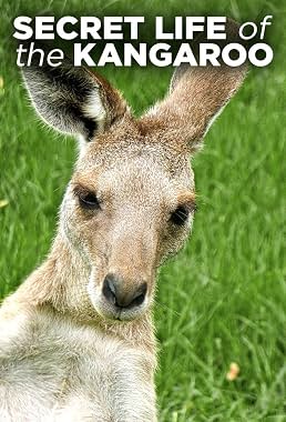 LugaTv | Watch Secret Life of the Kangaroo seasons 1 - 1 for free online