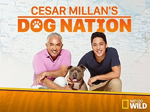 LugaTv | Watch Cesar Millans Dog Nation seasons 1 - 1 for free online