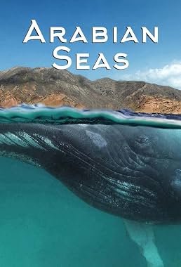 LugaTv | Watch Arabian Seas seasons 1 - 1 for free online