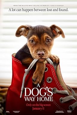 LugaTv | Watch A Dogs Way Home for free online