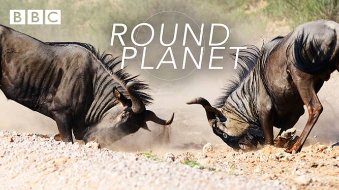 LugaTv | Watch Round Planet seasons 1 - 1 for free online