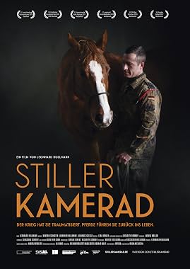 LugaTv | Watch Stiller Kamerad for free online