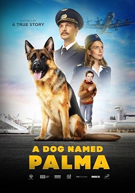 LugaTv | Watch Palma for free online
