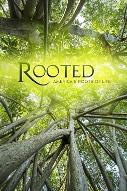 LugaTv | Watch Rooted seasons 1 - 2 for free online