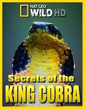 LugaTv | Watch Secrets of the King Cobra for free online
