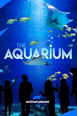 LugaTv | Watch The Aquarium seasons 1 - 2 for free online